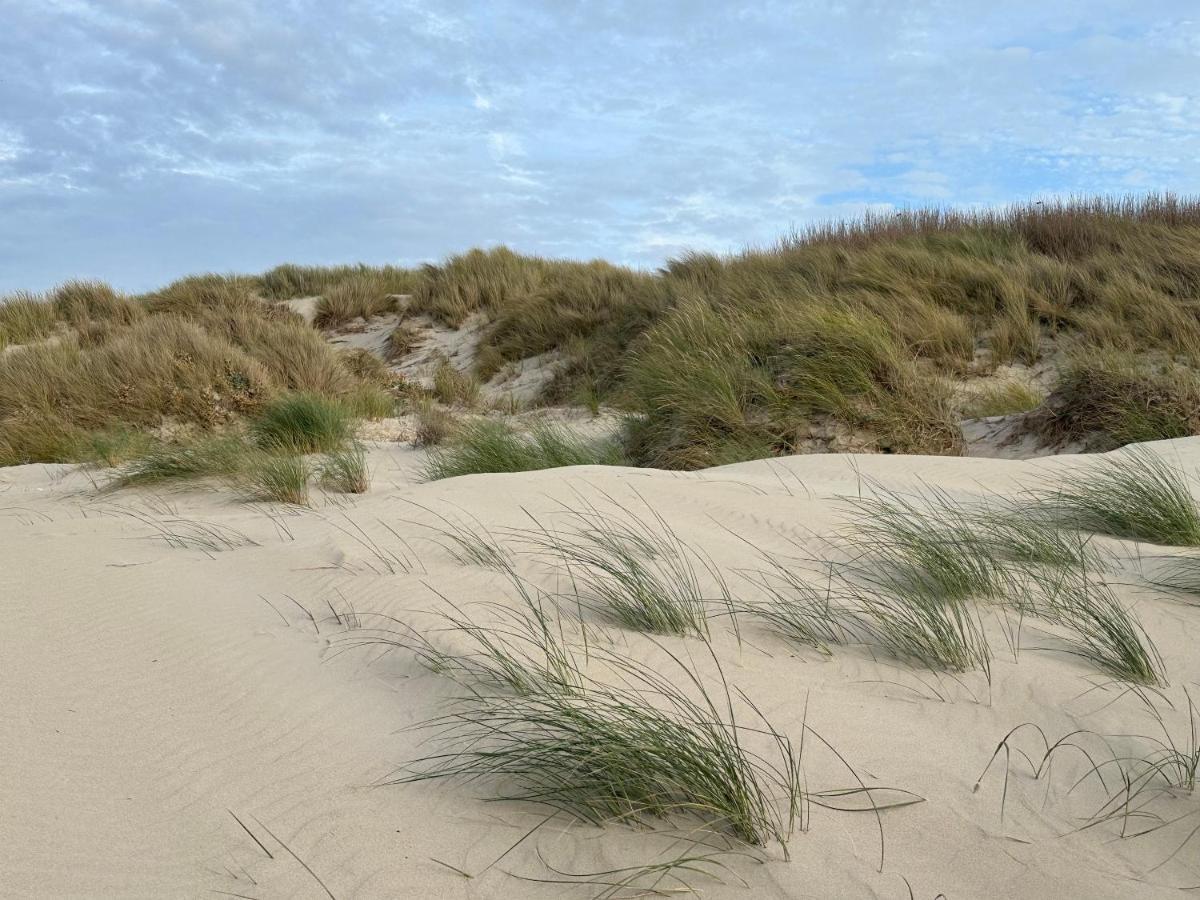 Appartement Plage Merlimont 10 Mn Berck Le Touquet Avec Jardin Eksteriør billede
